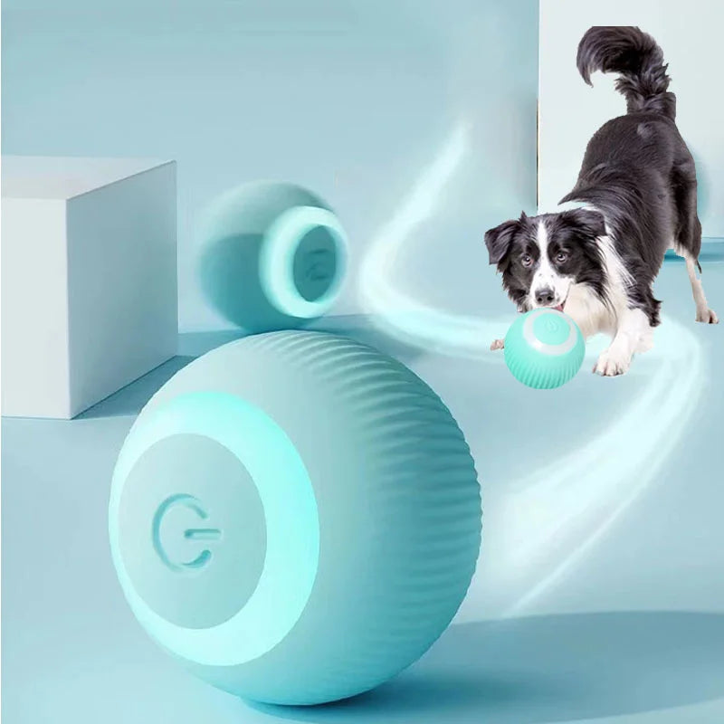 Smart Auto-Rolling Puppy & Cat Ball – Fun Interactive Pet Toy