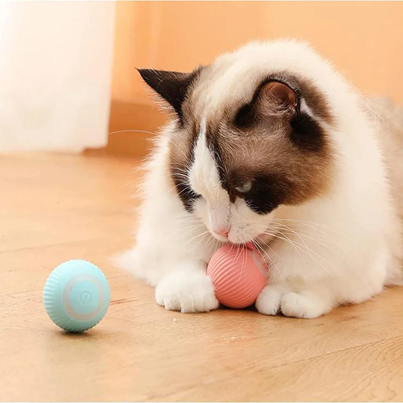 Smart Auto-Rolling Puppy & Cat Ball – Fun Interactive Pet Toy