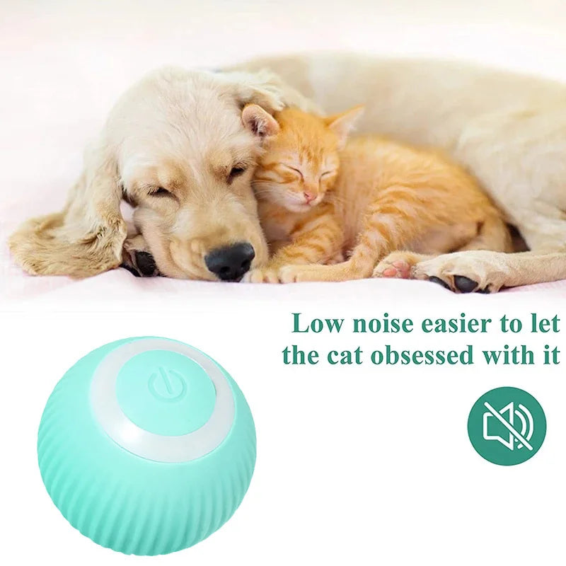 Smart Auto-Rolling Puppy & Cat Ball – Fun Interactive Pet Toy