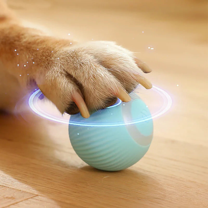 Smart Auto-Rolling Puppy & Cat Ball – Fun Interactive Pet Toy