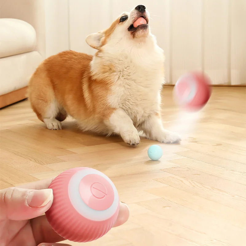 Smart Auto-Rolling Puppy & Cat Ball – Fun Interactive Pet Toy