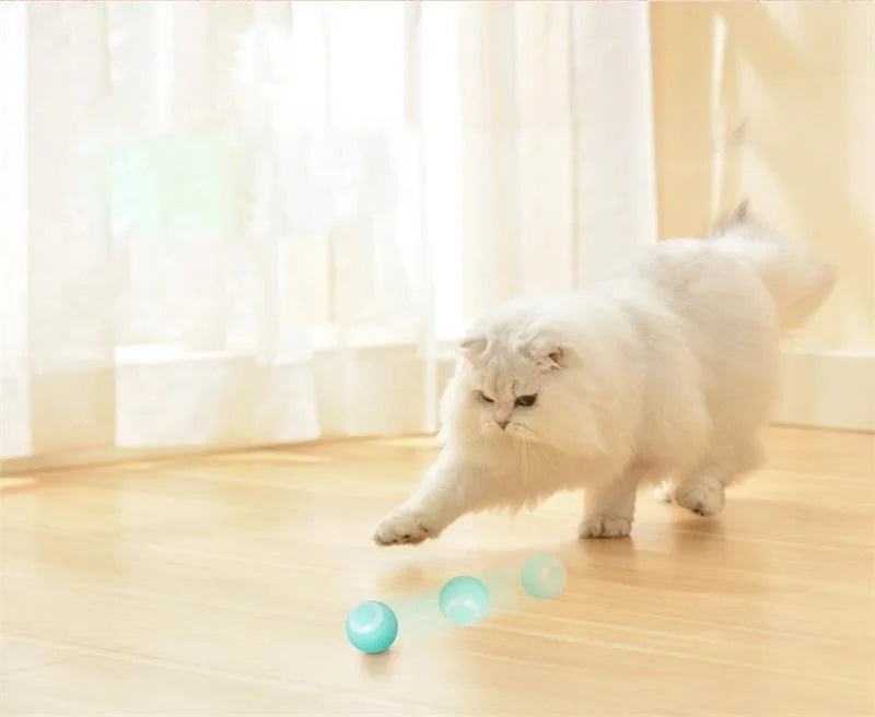 Smart Auto-Rolling Puppy & Cat Ball – Fun Interactive Pet Toy