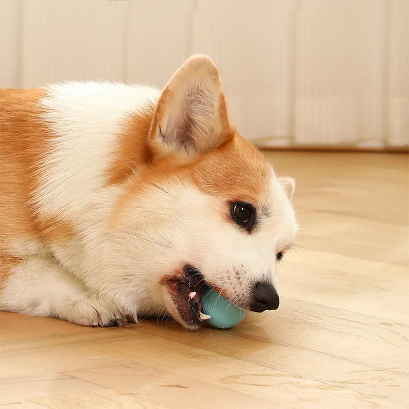 Smart Auto-Rolling Puppy & Cat Ball – Fun Interactive Pet Toy